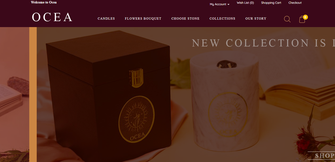 Search Engine Optimization